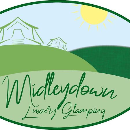 Midleydown Luxury Glamping Otel Exeter Dış mekan fotoğraf