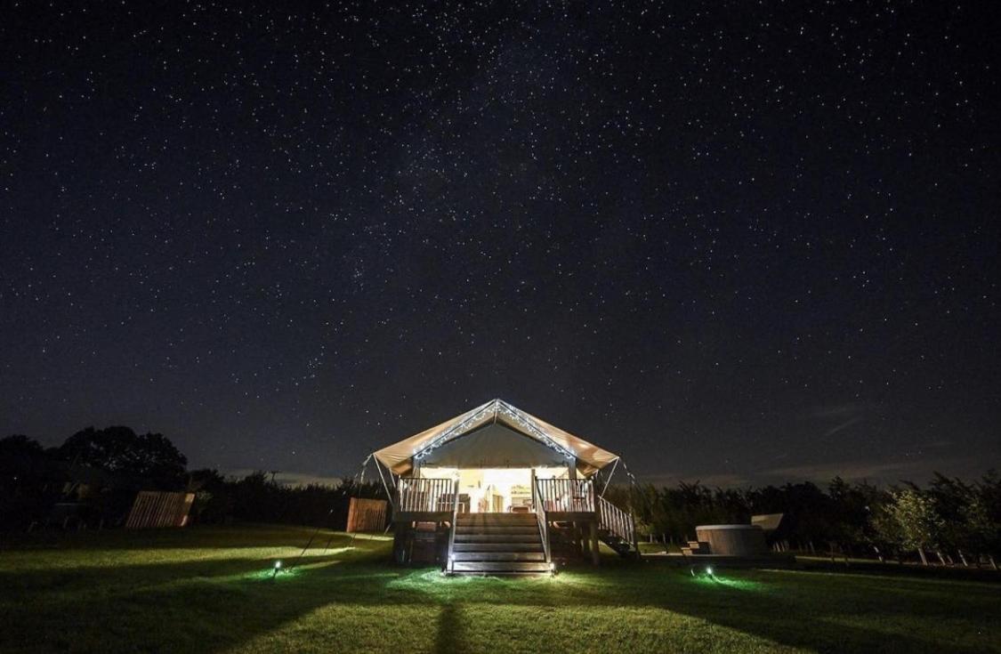 Midleydown Luxury Glamping Otel Exeter Dış mekan fotoğraf
