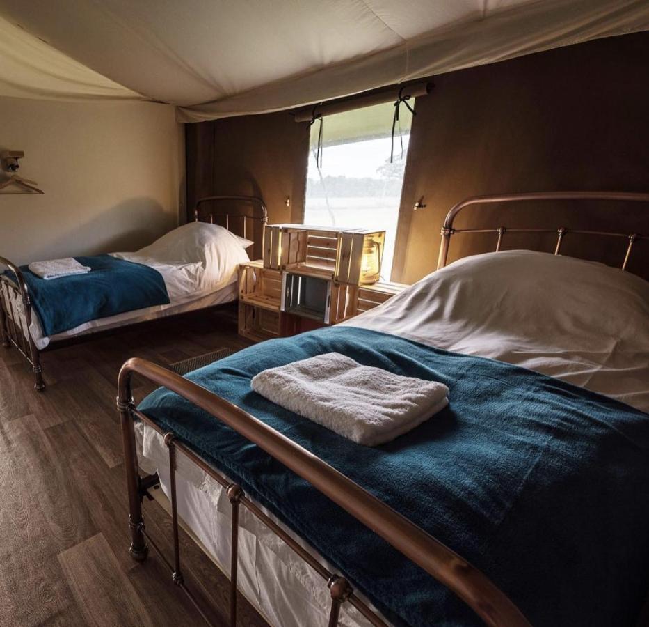 Midleydown Luxury Glamping Otel Exeter Dış mekan fotoğraf