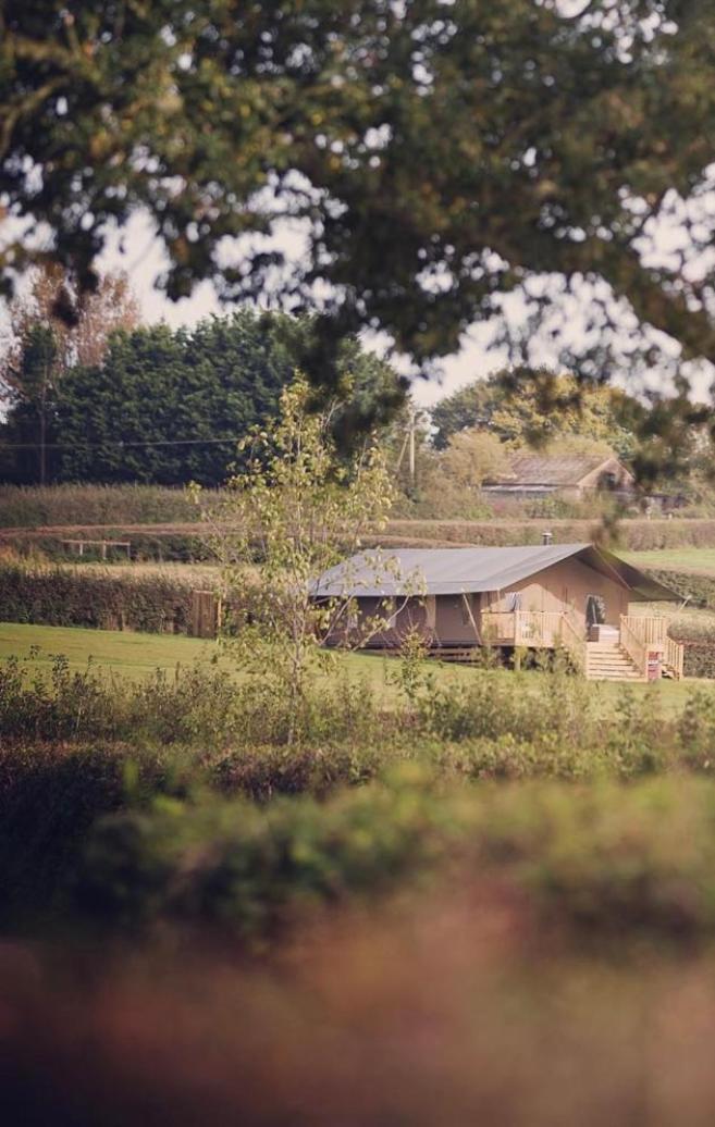Midleydown Luxury Glamping Otel Exeter Dış mekan fotoğraf